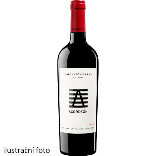 Acordeón Malbec